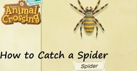 Animal Crossing: New Horizons Araignée tarentule - comment l'attraper?